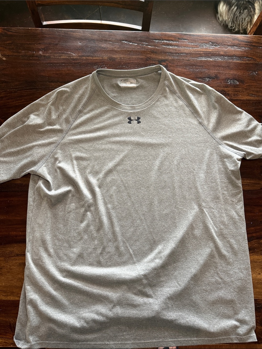 Under Armour Men’s Short Sleeve Performance Tee - Light Gray